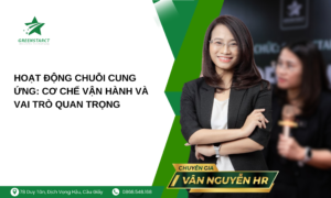 Hoạt động chuỗi cung ứng: Cơ chế vận hành và vai trò quan trọng