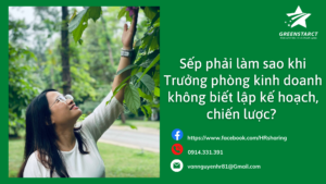 Sep phai lam sao khi Truong phong kinh doanh khong biet lap ke hoach chien luoc 1