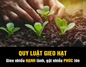 Quy luật gieo hạt