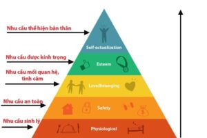 Tháp nhu cầu Maslow