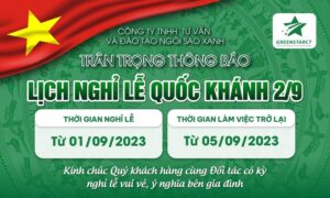 Thông báo nghỉ lễ quốc khánh 2/9/2023