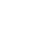 vision